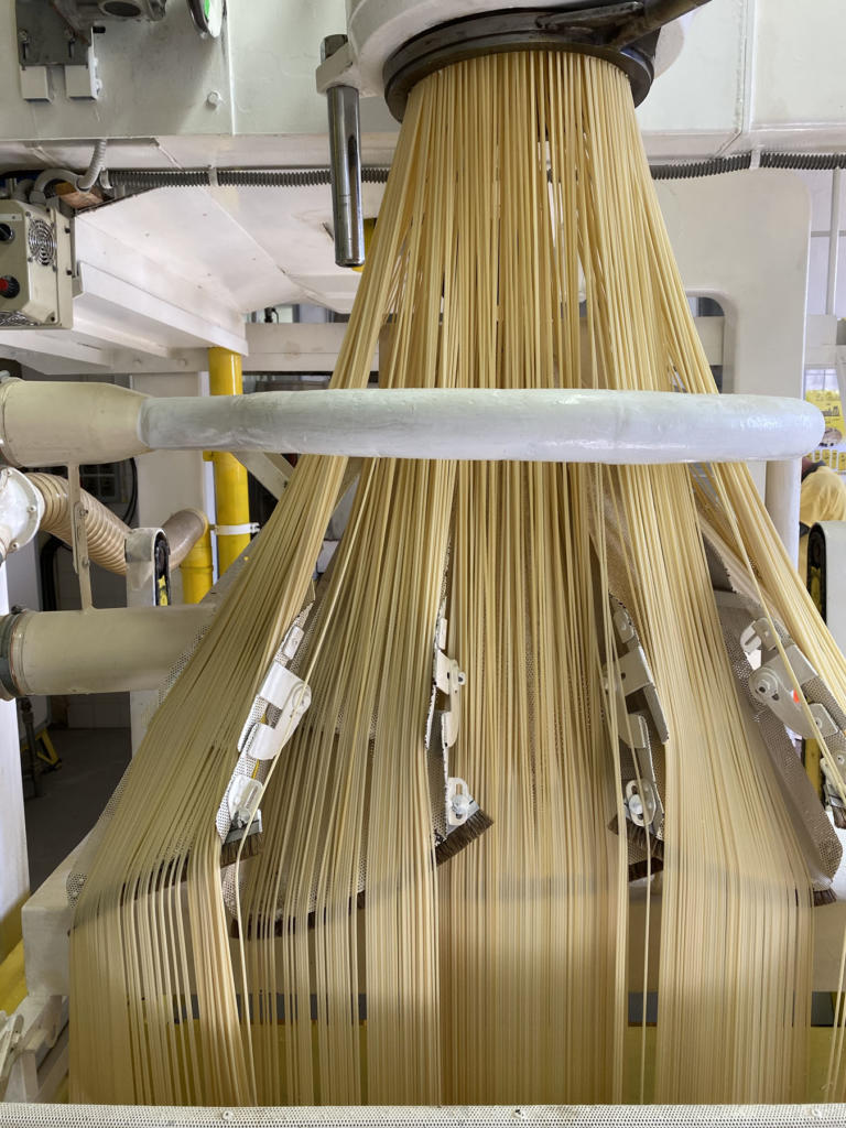 Martelli - Famiglia di Pastai