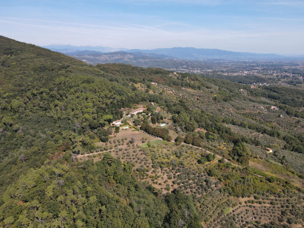 Unser Berg mit Blick auf Lucca