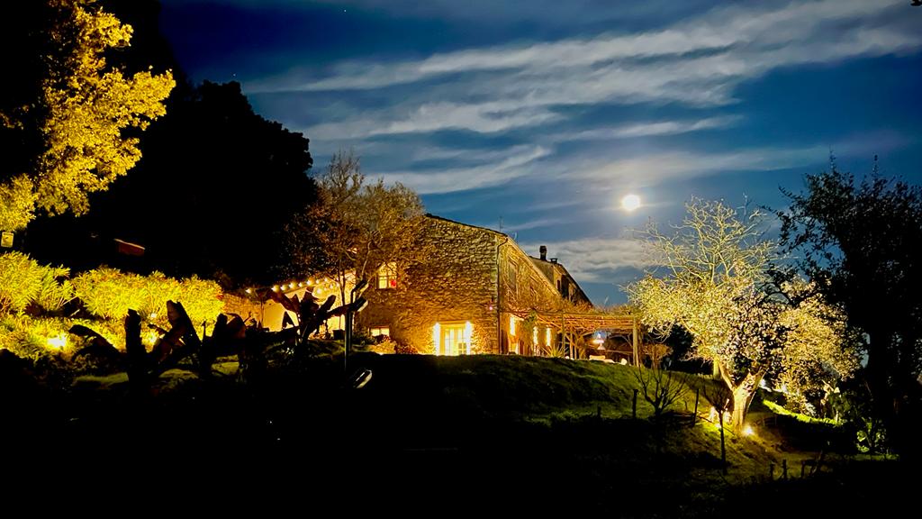 b1fd8727-16e6-441e-aac9-5f0c0d45cb6f